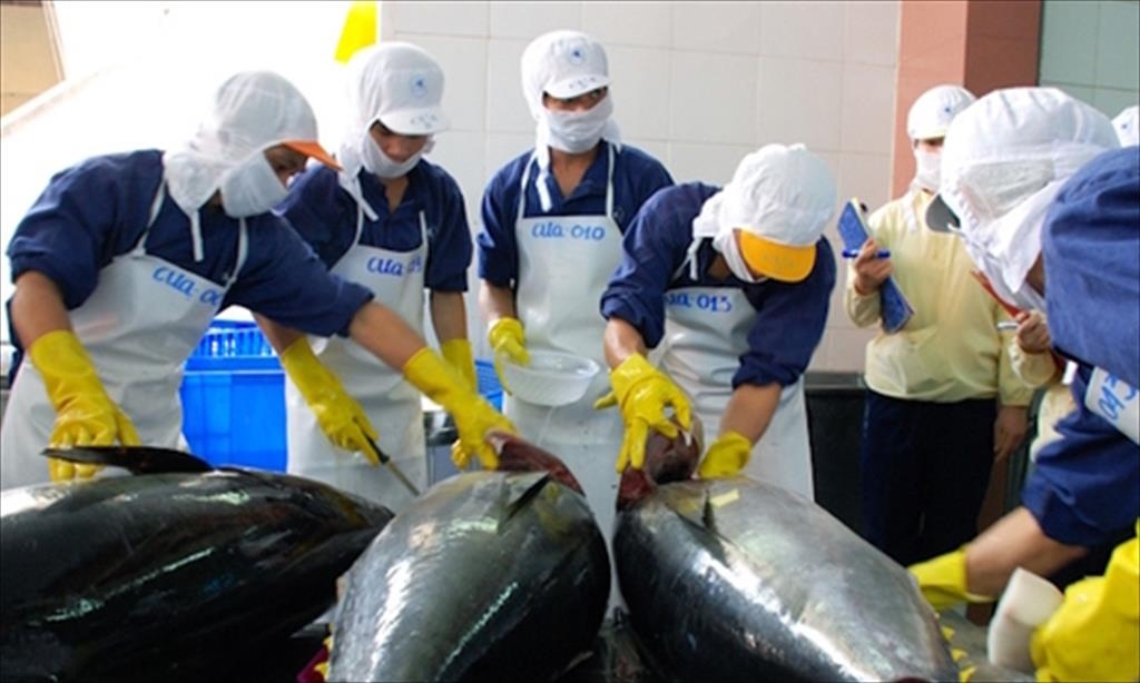 Vietnamese tuna exports surge in Q1